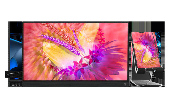 La gama a la vista 13,3 del color de 178 grados el 72% avanza lentamente el monitor portátil de FHD